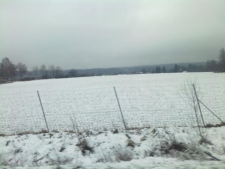 Milano 2010 104.jpg